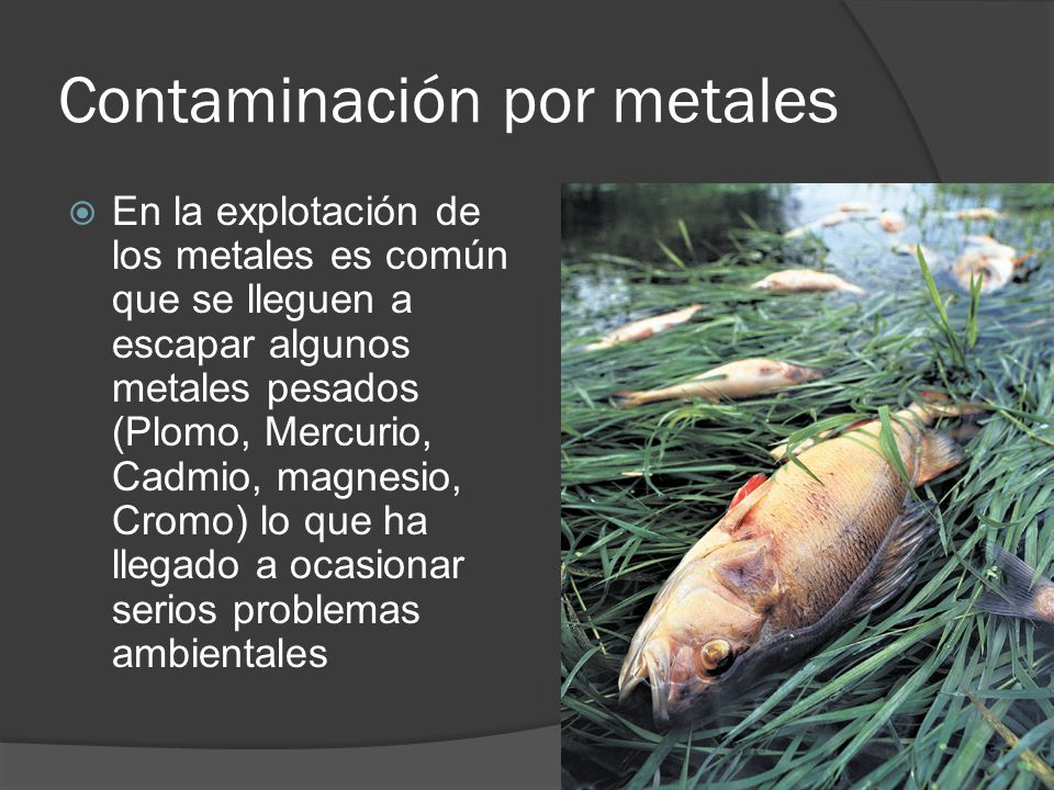 Contaminación por metales