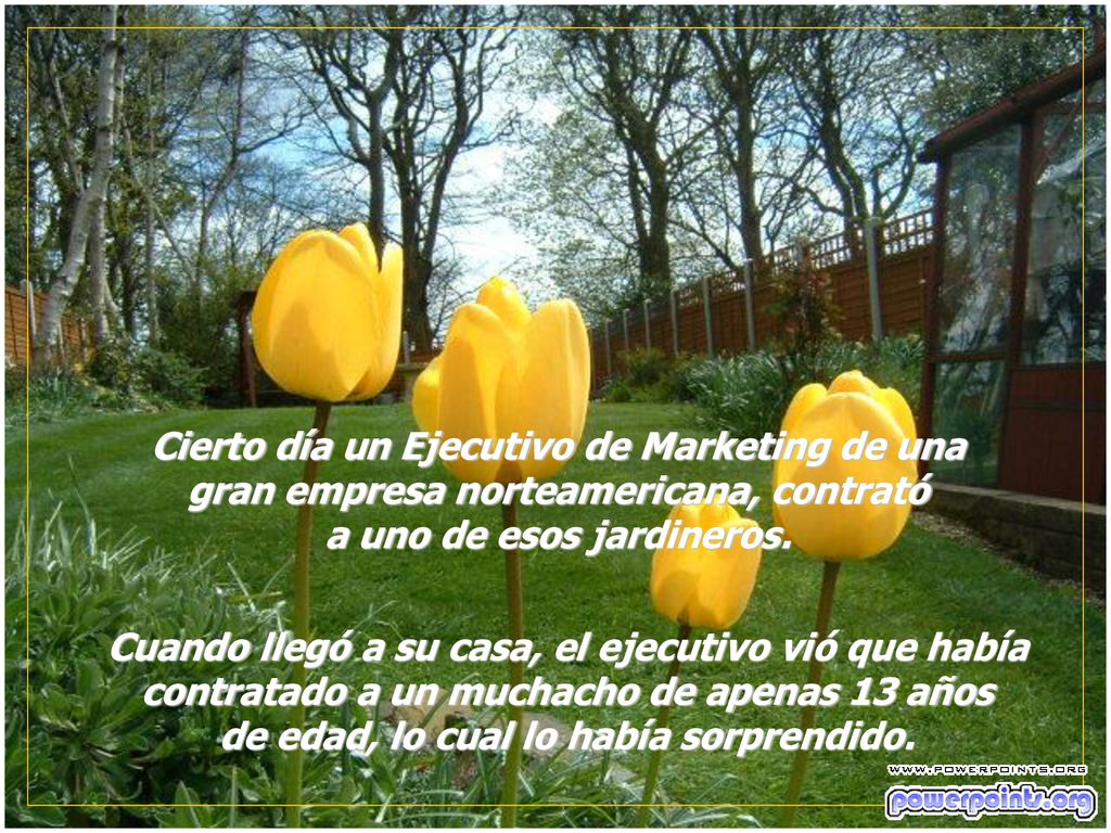 Cierto día un Ejecutivo de Marketing de una gran empresa norteamericana, contrató a uno de esos jardineros.