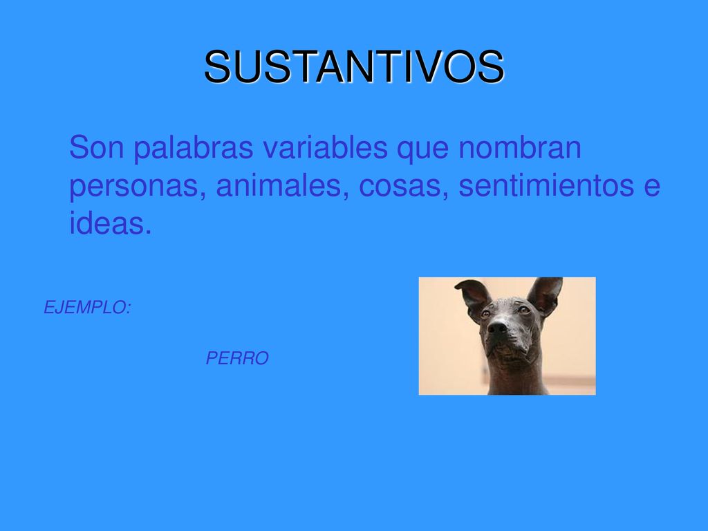 SUSTANTIVOS Son palabras variables que nombran personas, animales, cosas, sentimientos e ideas. EJEMPLO: