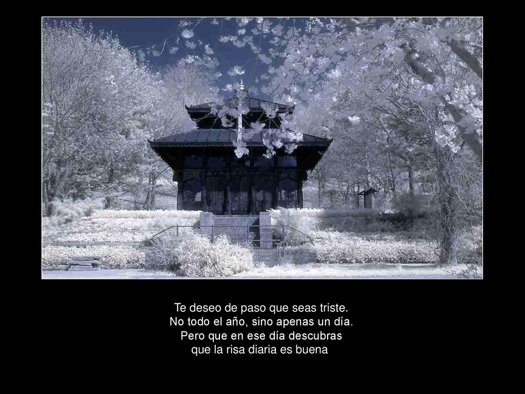 Te deseo de paso que seas triste. No todo el año, sino apenas un día