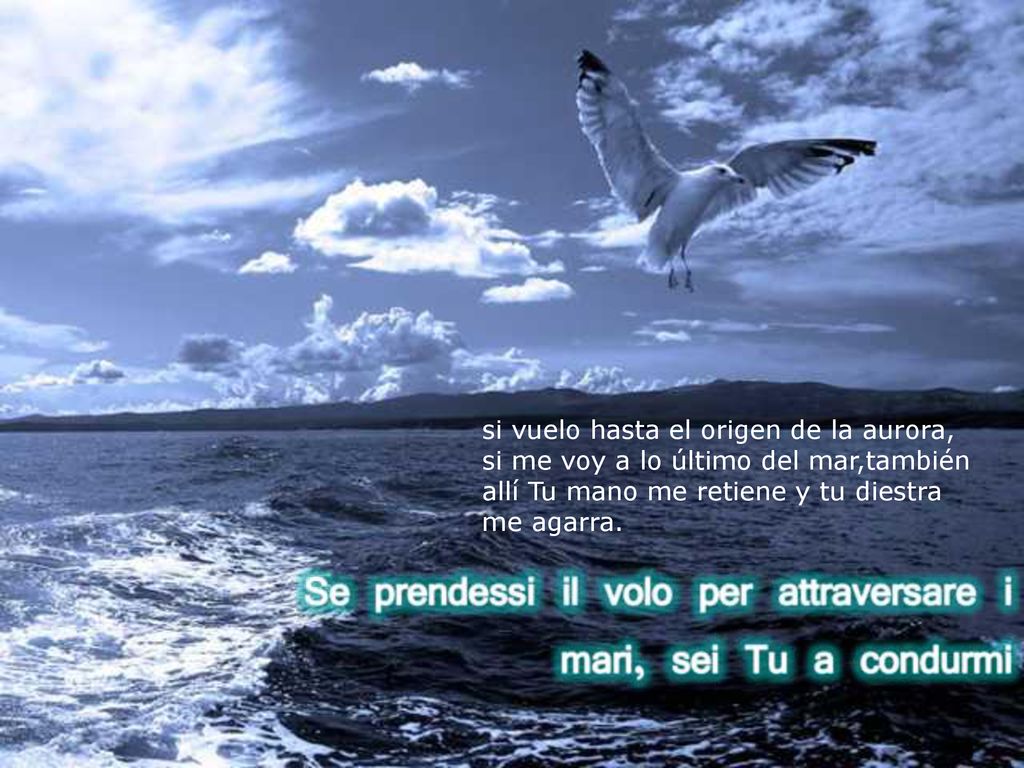 si vuelo hasta el origen de la aurora,