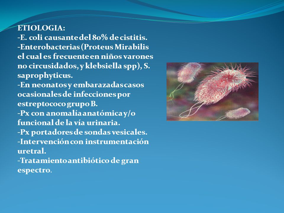 ETIOLOGIA: -E. coli causante del 80% de cistitis.