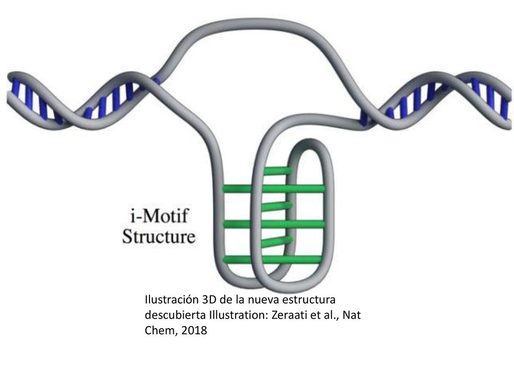 Ilustración 3D de la nueva estructura descubierta Illustration: Zeraati et al., Nat Chem, 2018