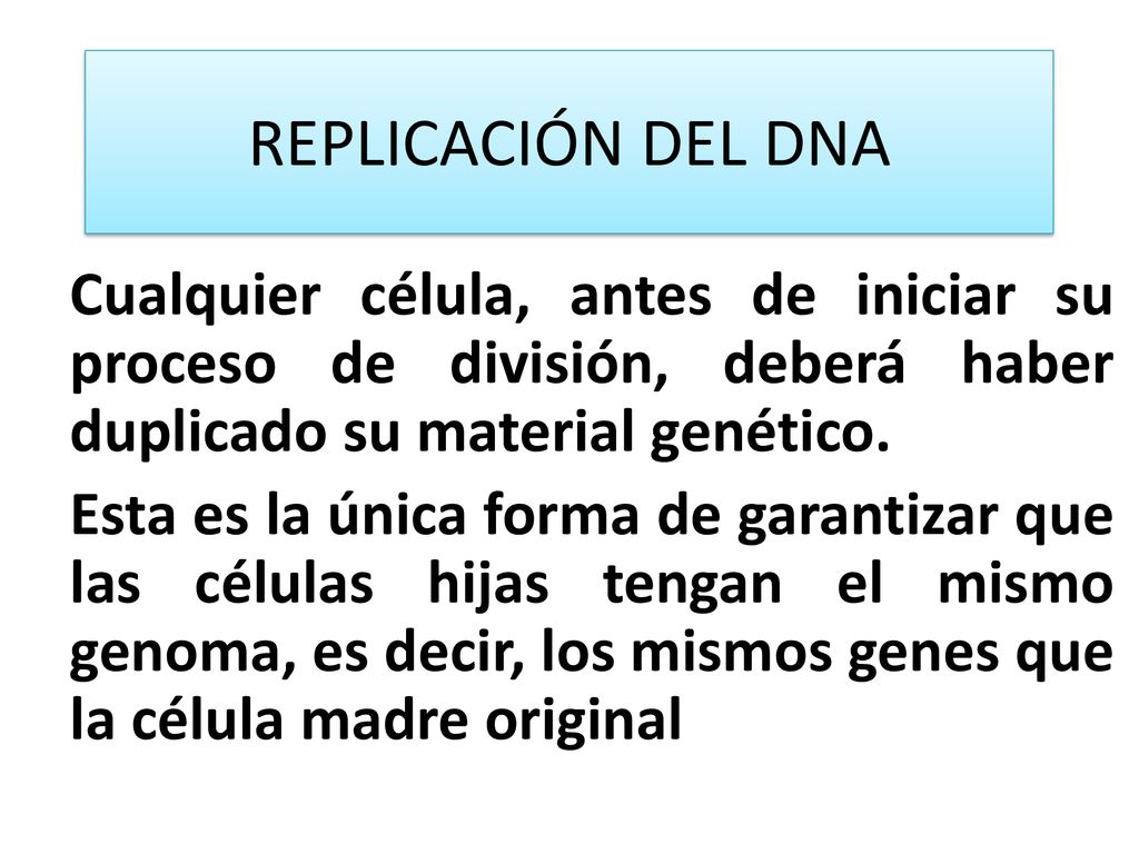 REPLICACIÓN DEL DNA Cualquier célula, antes de iniciar su proceso de división, deberá haber duplicado su material genético.