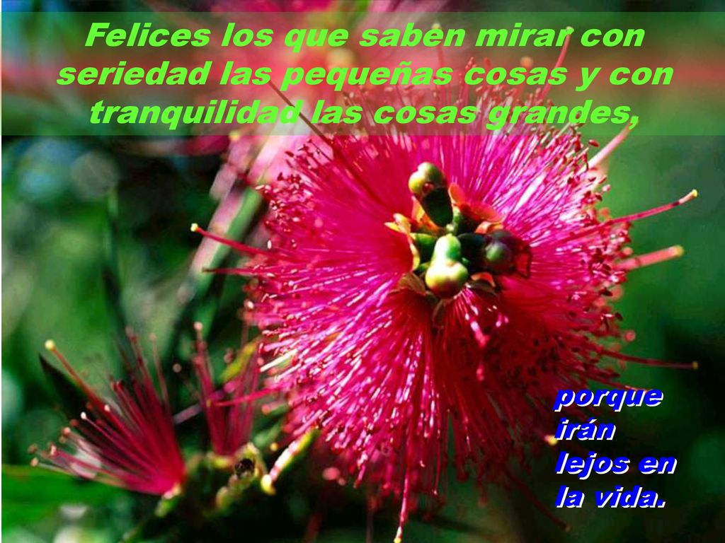 Felices los que saben mirar con seriedad las pequeñas cosas y con tranquilidad las cosas grandes,