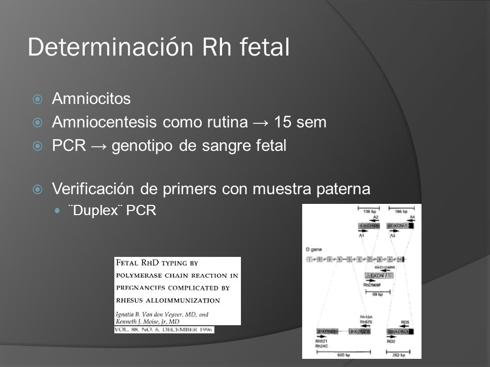 Determinación Rh fetal