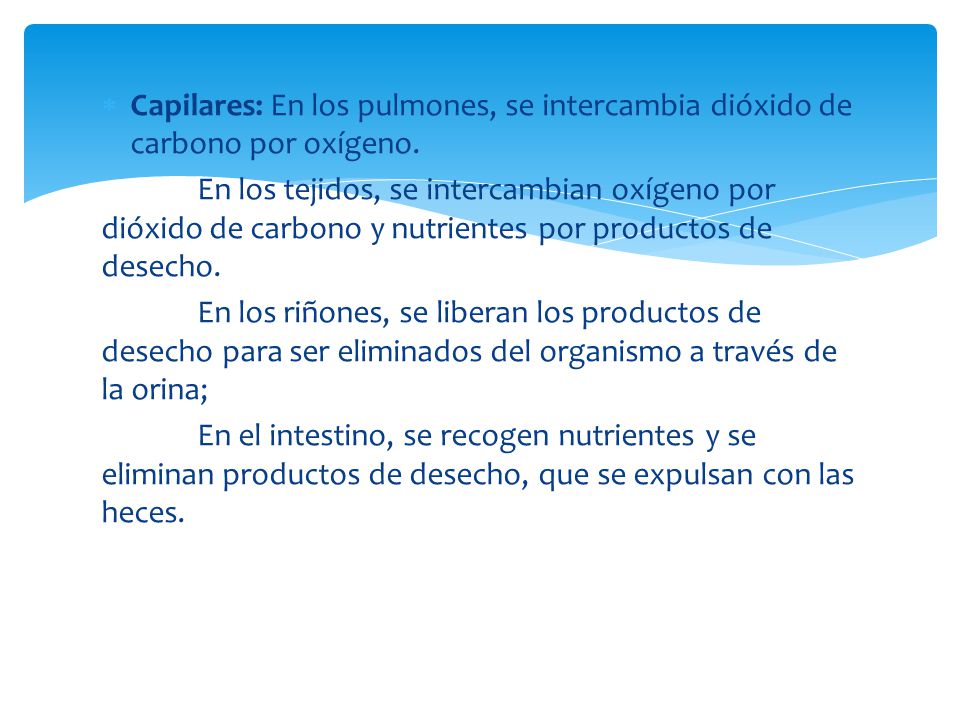 Capilares: En los pulmones, se intercambia dióxido de carbono por oxígeno.
