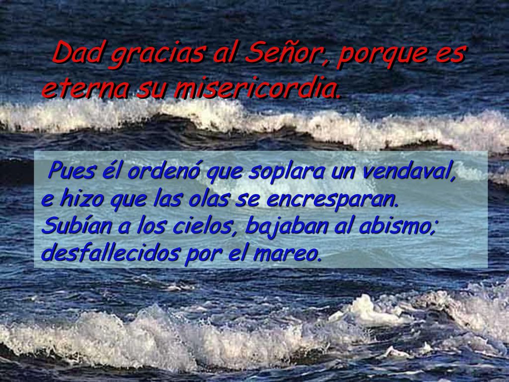 Dad gracias al Señor, porque es eterna su misericordia.