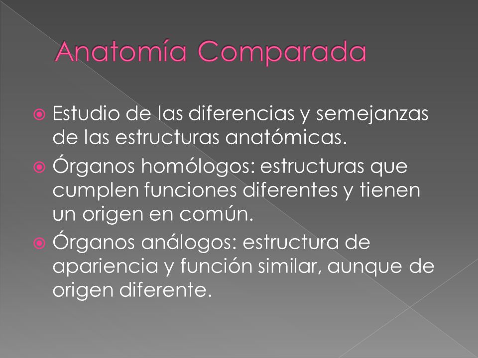 Anatomía Comparada Estudio de las diferencias y semejanzas de las estructuras anatómicas.