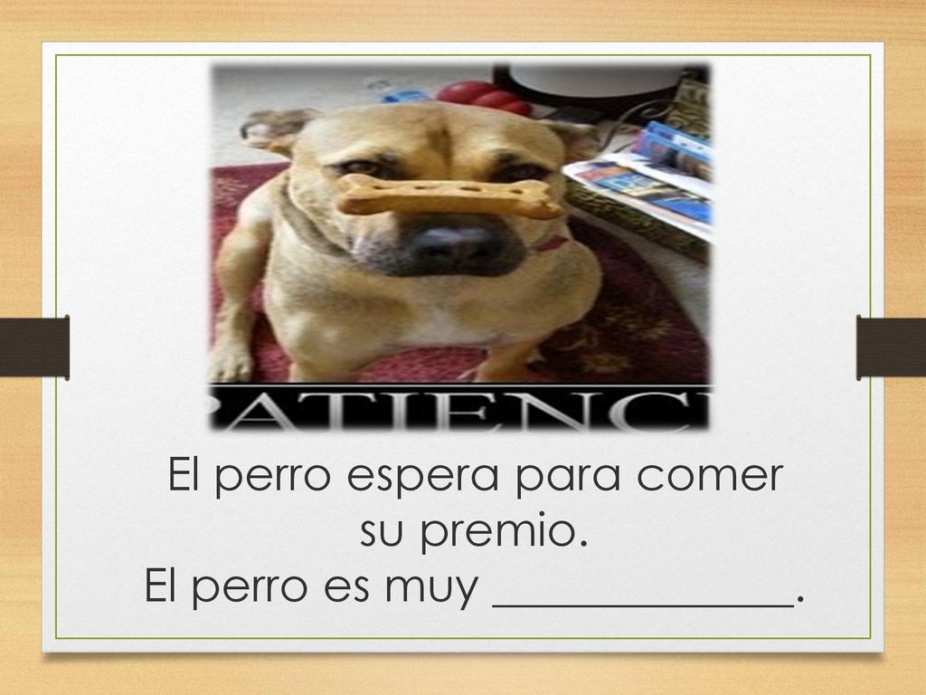 El perro espera para comer su premio. El perro es muy _____________.
