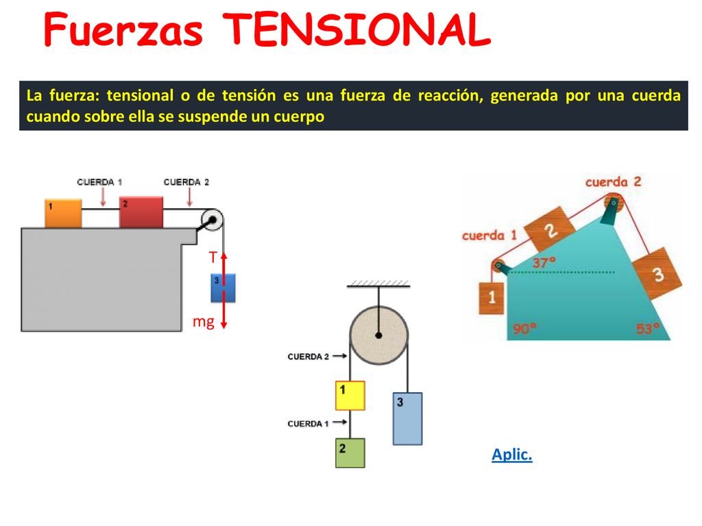 Fuerzas TENSIONAL La fuerza: tensional o de tensión es una fuerza de reacción, generada por una cuerda cuando sobre ella se suspende un cuerpo.
