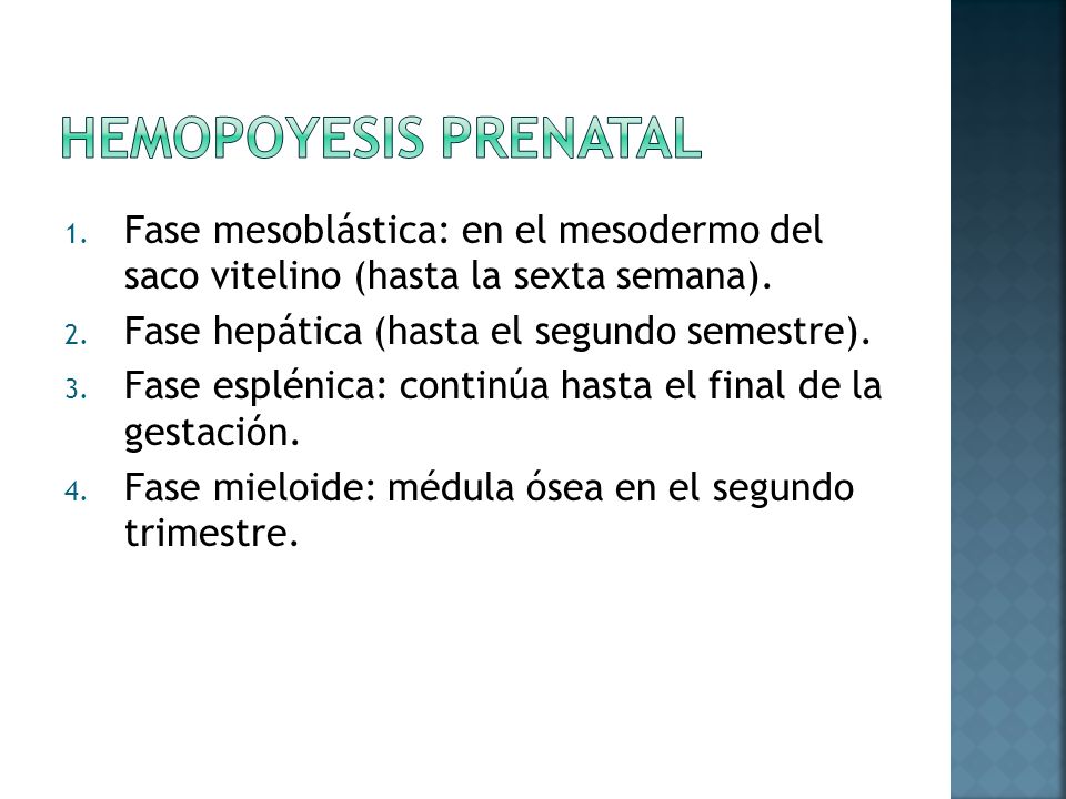 Hemopoyesis prenatal Fase mesoblástica: en el mesodermo del saco vitelino (hasta la sexta semana).