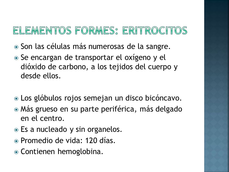 Elementos formes: eritrocitos