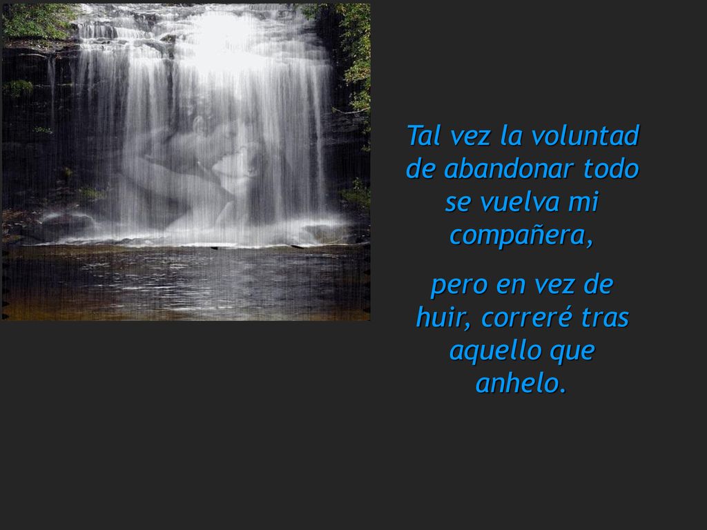 Tal vez la voluntad de abandonar todo se vuelva mi compañera,