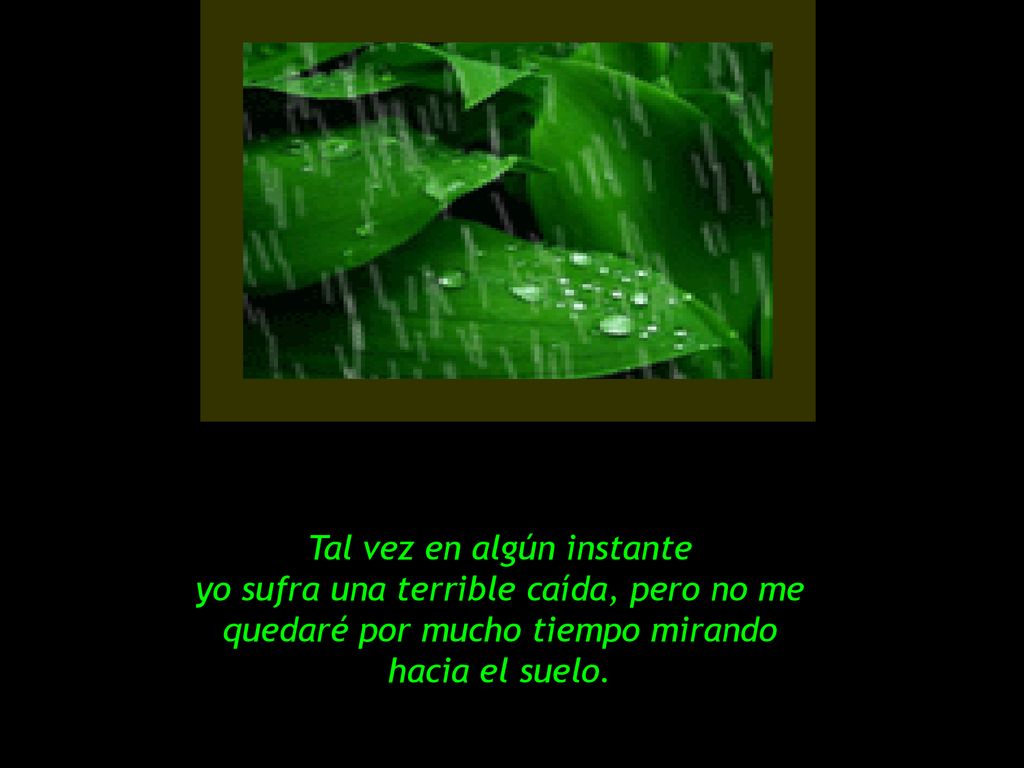 Tal vez en algún instante yo sufra una terrible caída, pero no me quedaré por mucho tiempo mirando hacia el suelo.