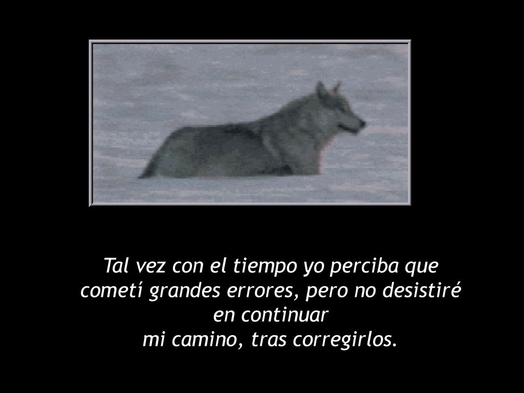 Tal vez con el tiempo yo perciba que cometí grandes errores, pero no desistiré en continuar mi camino, tras corregirlos.