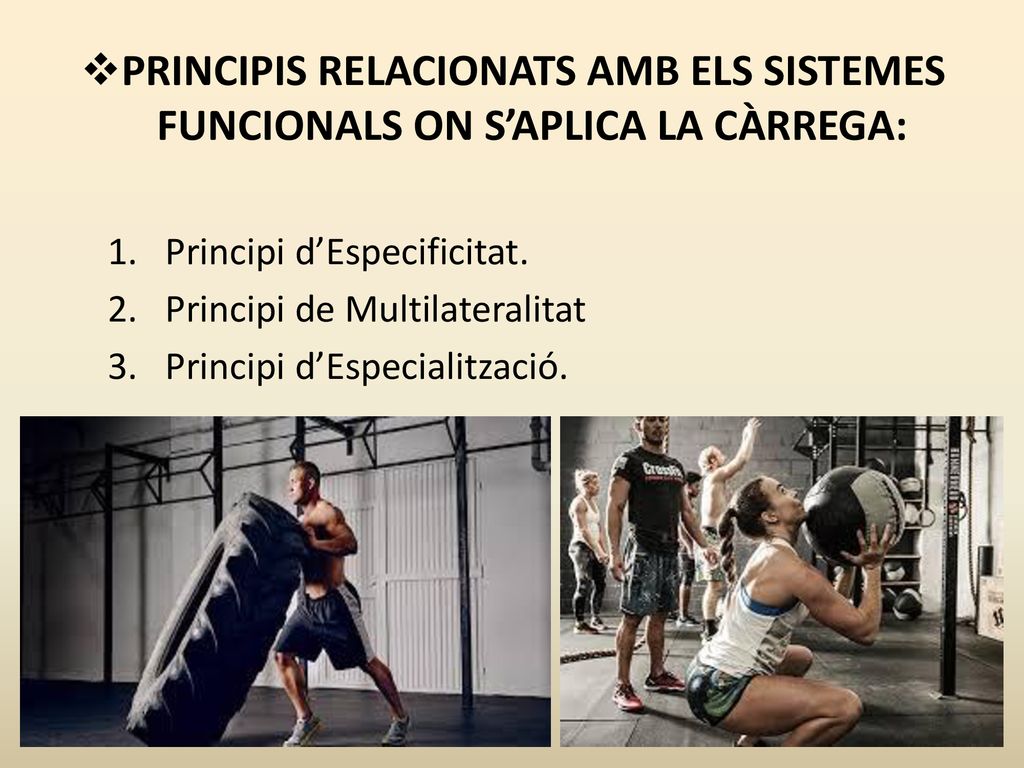 PRINCIPIS RELACIONATS AMB ELS SISTEMES FUNCIONALS ON S’APLICA LA CÀRREGA: