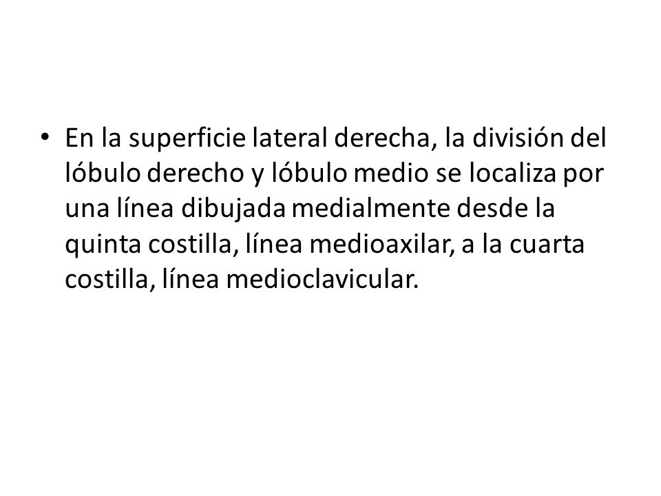 En la superficie lateral derecha, la división del lóbulo derecho y lóbulo medio se localiza por una línea dibujada medialmente desde la quinta costilla, línea medioaxilar, a la cuarta costilla, línea medioclavicular.
