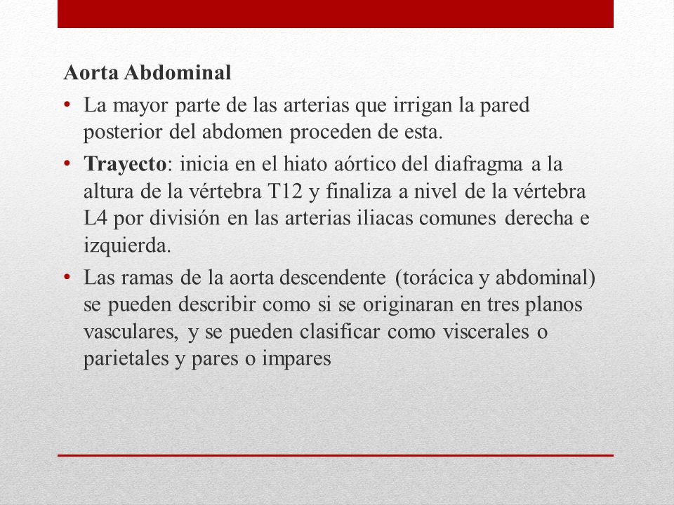 Aorta Abdominal La mayor parte de las arterias que irrigan la pared posterior del abdomen proceden de esta.