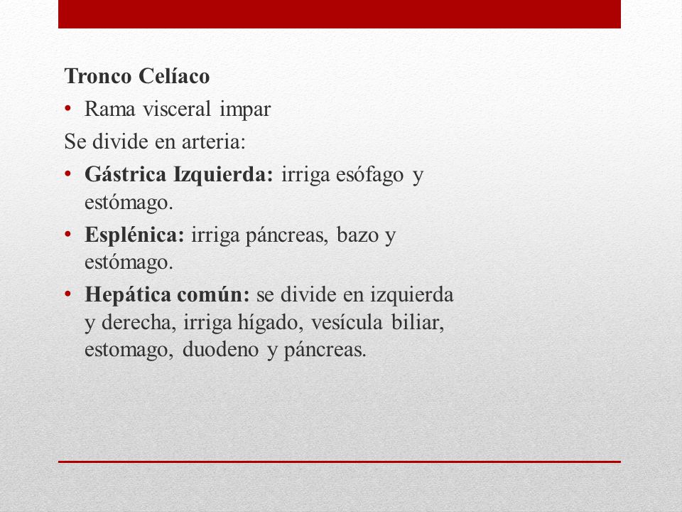 Tronco Celíaco Rama visceral impar. Se divide en arteria: Gástrica Izquierda: irriga esófago y estómago.