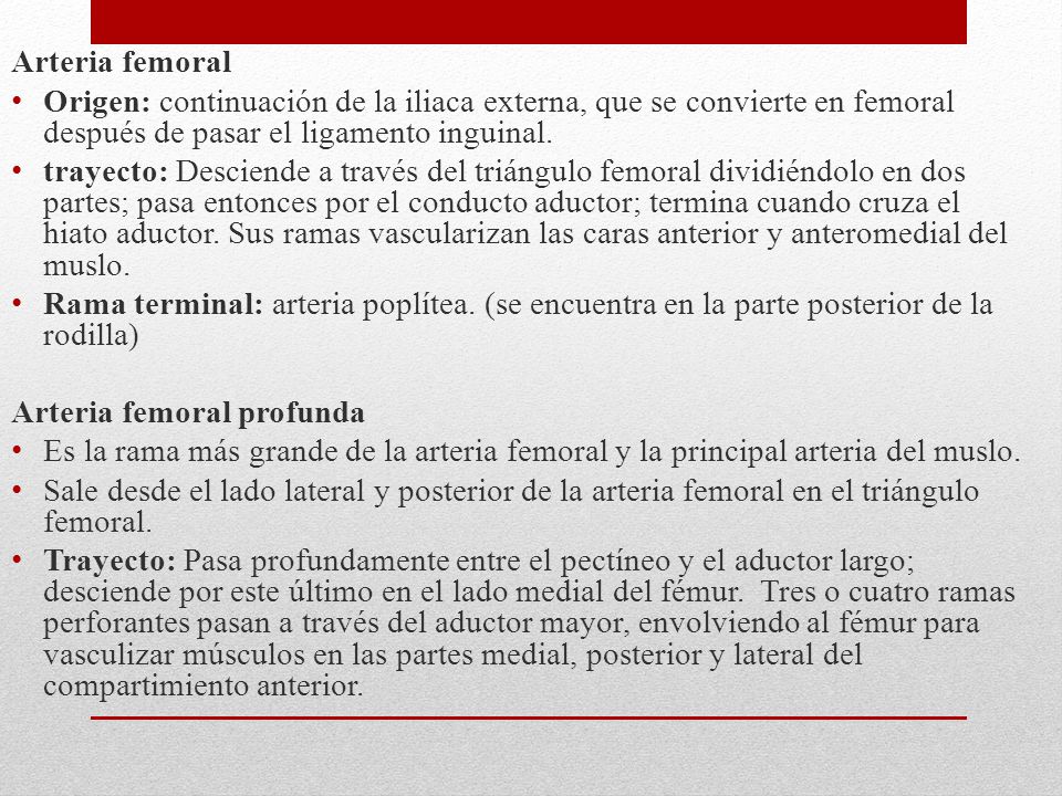 Arteria femoral Origen: continuación de la iliaca externa, que se convierte en femoral después de pasar el ligamento inguinal.