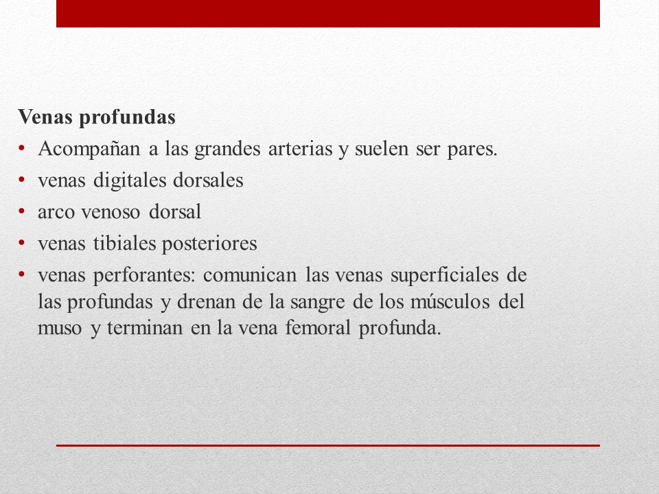 Venas profundas Acompañan a las grandes arterias y suelen ser pares. venas digitales dorsales. arco venoso dorsal.