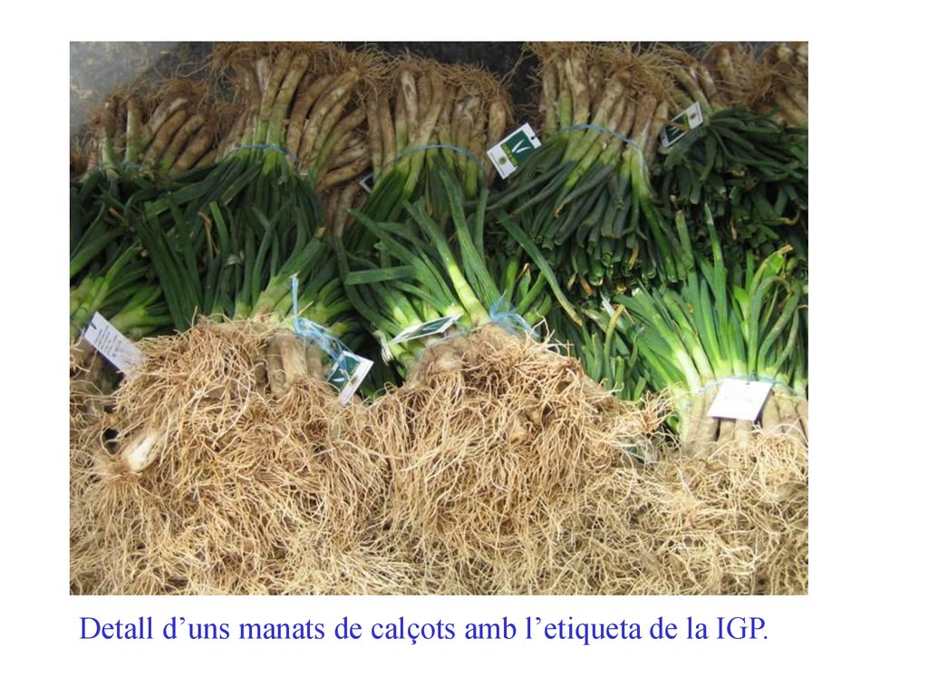 Detall d’uns manats de calçots amb l’etiqueta de la IGP.