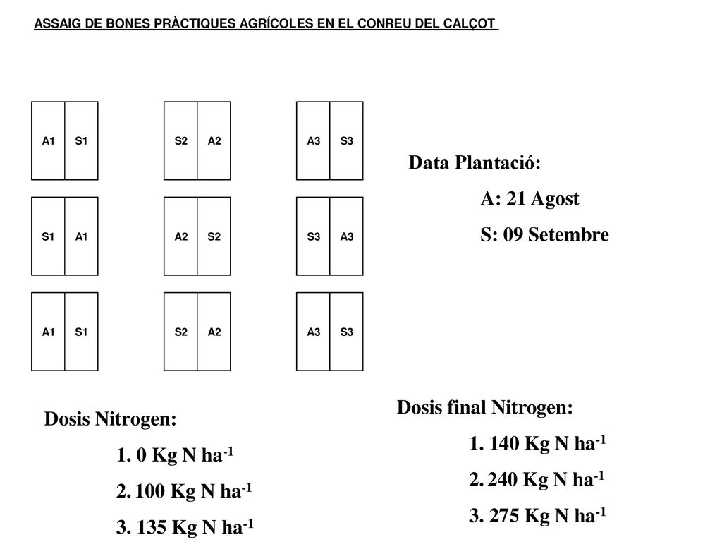 Data Plantació: A: 21 Agost. S: 09 Setembre. Dosis final Nitrogen: Kg N ha Kg N ha-1.