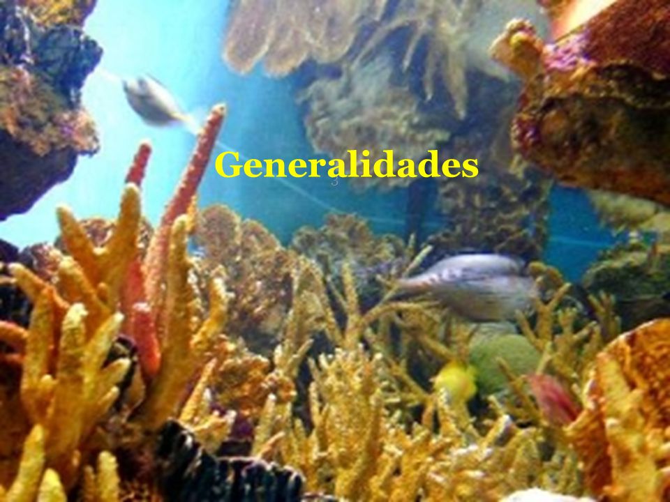 Generalidades