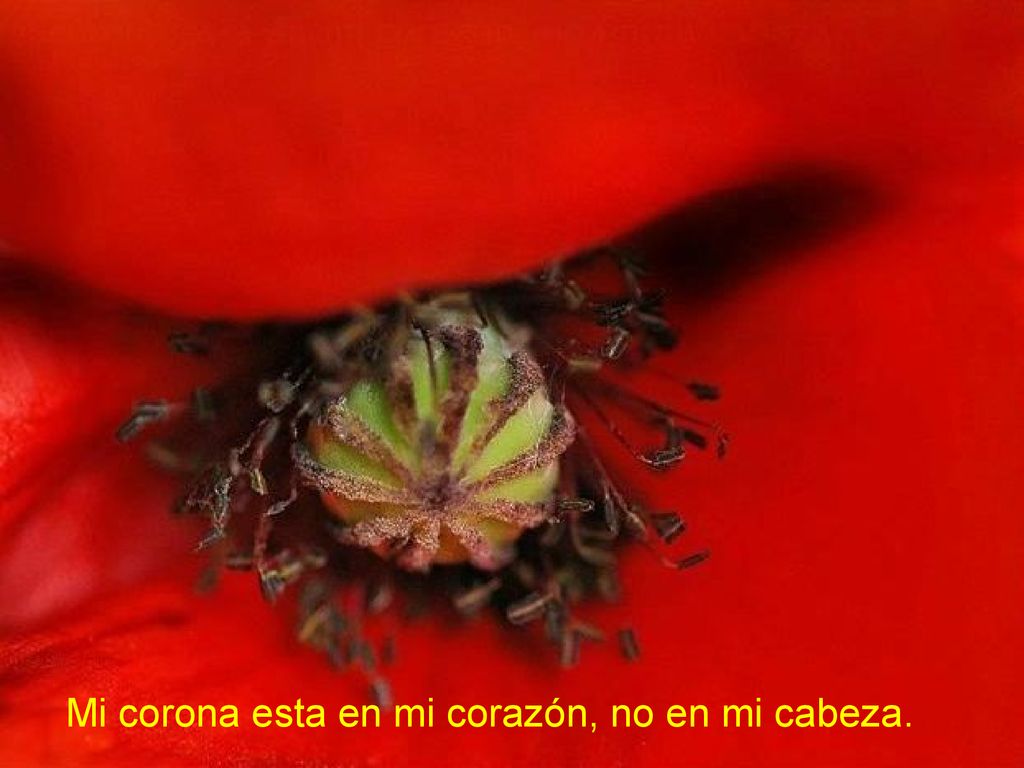 Mi corona esta en mi corazón, no en mi cabeza.