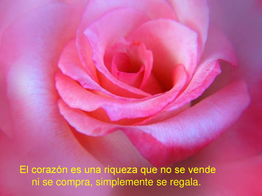 El corazón es una riqueza que no se vende