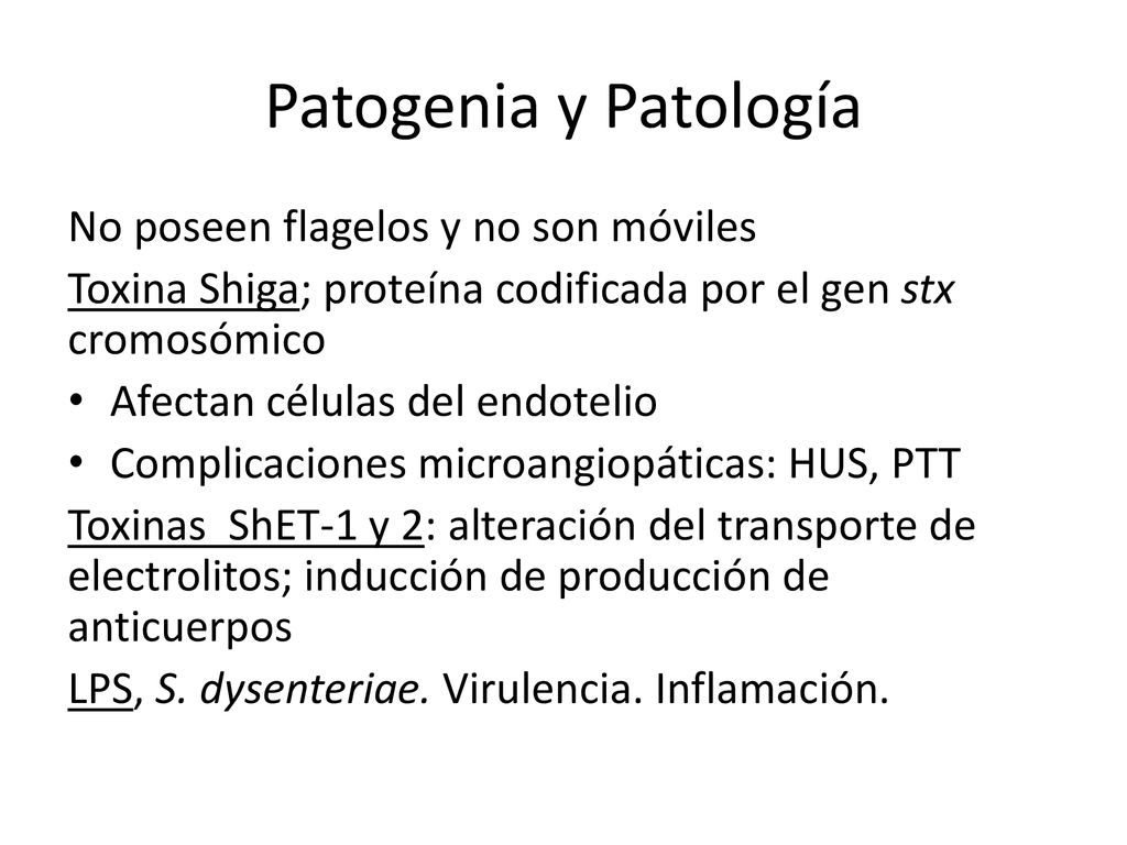 Patogenia y Patología No poseen flagelos y no son móviles