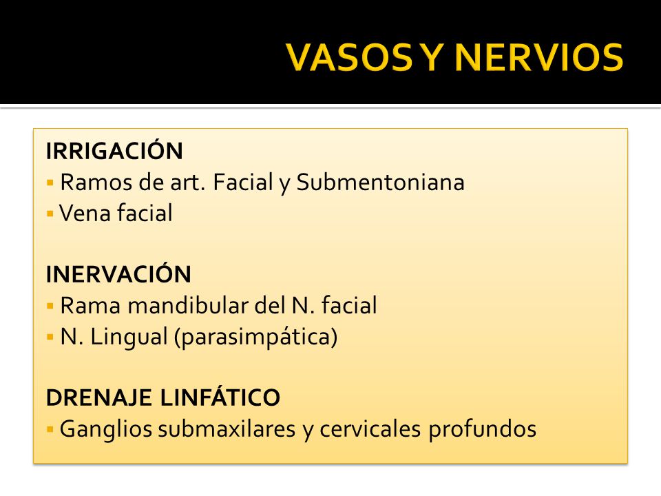 VASOS Y NERVIOS IRRIGACIÓN Ramos de art. Facial y Submentoniana