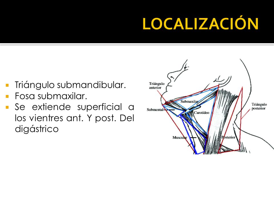 LOCALIZACIÓN Triángulo submandibular. Fosa submaxilar.
