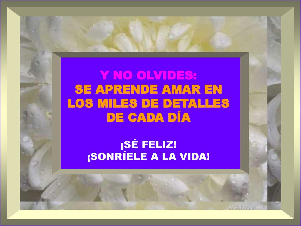 SE APRENDE AMAR EN LOS MILES DE DETALLES DE CADA DÍA
