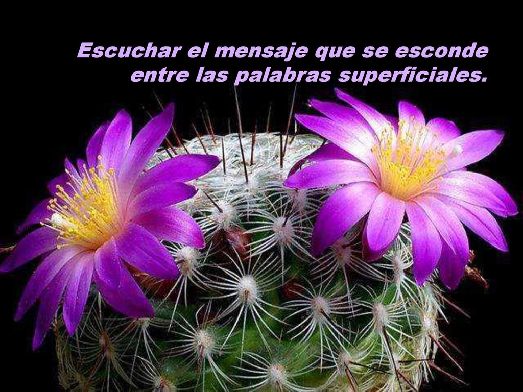 Escuchar el mensaje que se esconde entre las palabras superficiales.