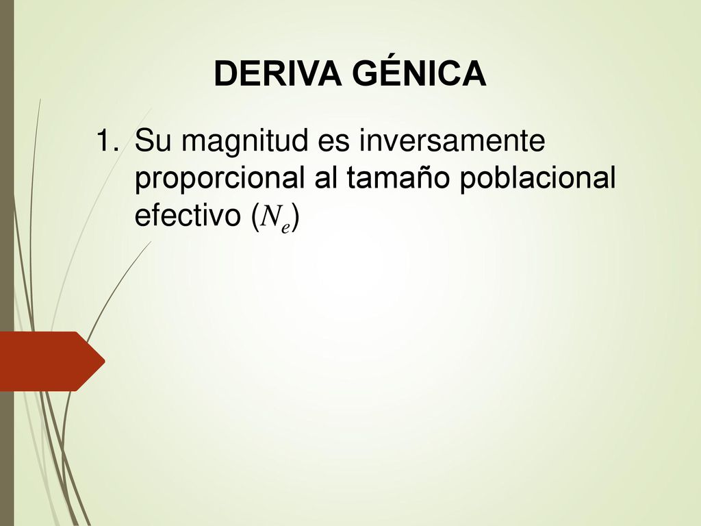 DERIVA GÉNICA Su magnitud es inversamente proporcional al tamaño poblacional efectivo (Ne)