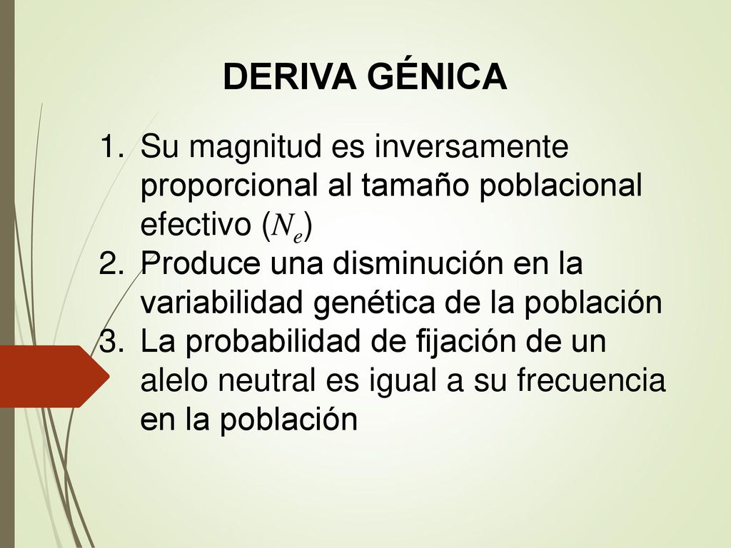 DERIVA GÉNICA Su magnitud es inversamente proporcional al tamaño poblacional efectivo (Ne)