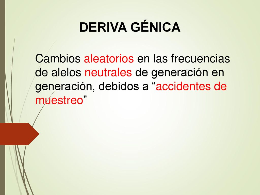 DERIVA GÉNICA Cambios aleatorios en las frecuencias de alelos neutrales de generación en generación, debidos a accidentes de muestreo