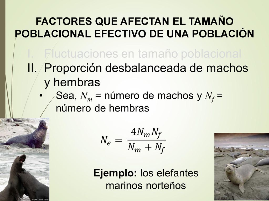 FACTORES QUE AFECTAN EL TAMAÑO POBLACIONAL EFECTIVO DE UNA POBLACIÓN