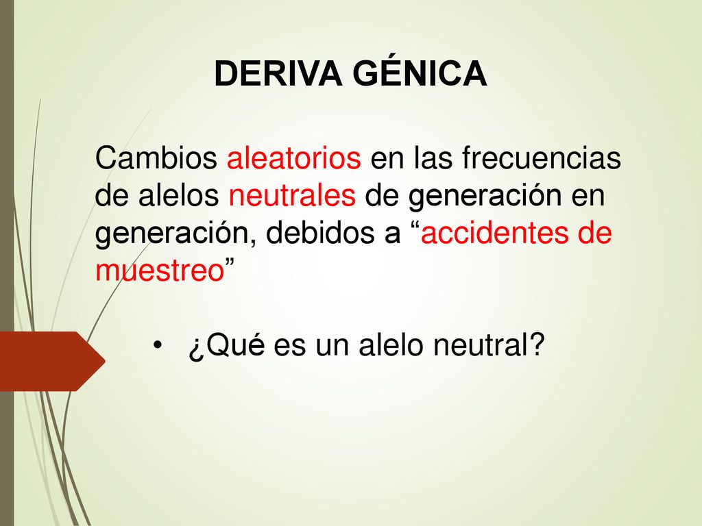 DERIVA GÉNICA Cambios aleatorios en las frecuencias de alelos neutrales de generación en generación, debidos a accidentes de muestreo