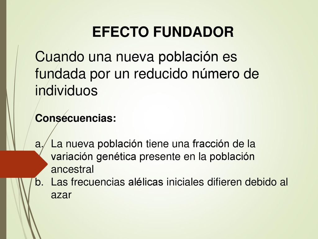 EFECTO FUNDADOR Cuando una nueva población es fundada por un reducido número de individuos. Consecuencias:
