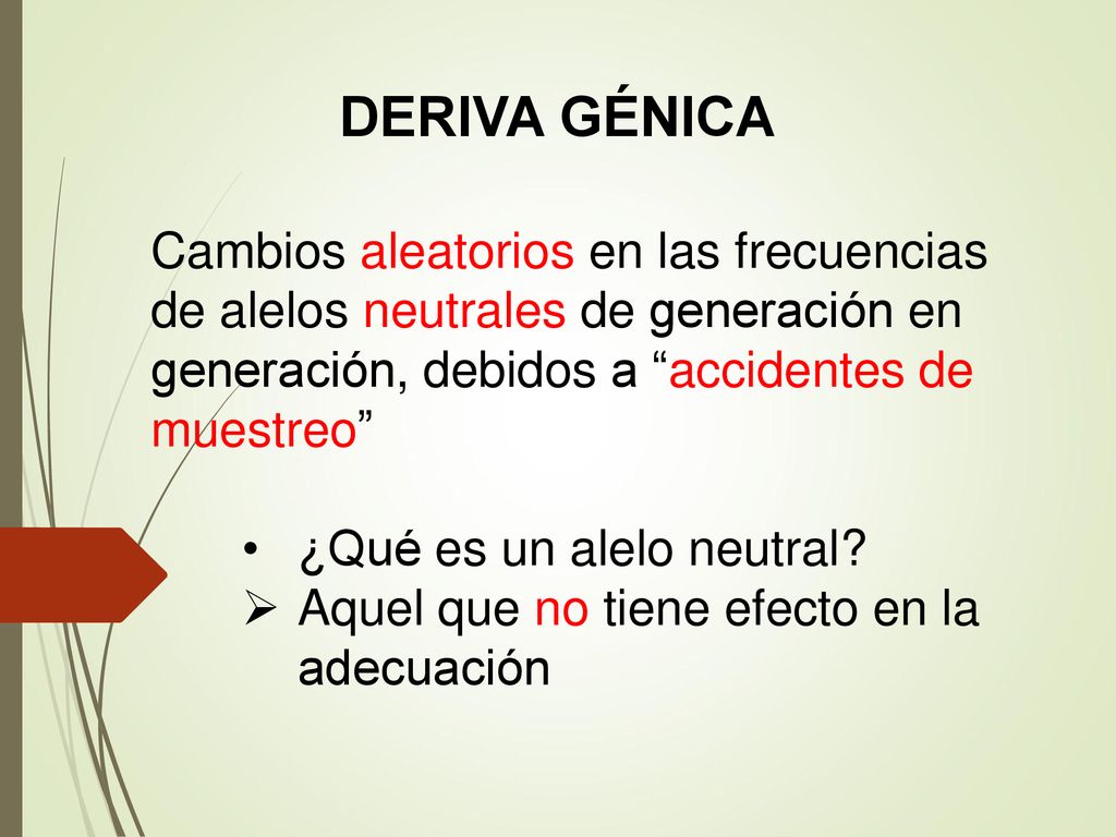 DERIVA GÉNICA Cambios aleatorios en las frecuencias de alelos neutrales de generación en generación, debidos a accidentes de muestreo