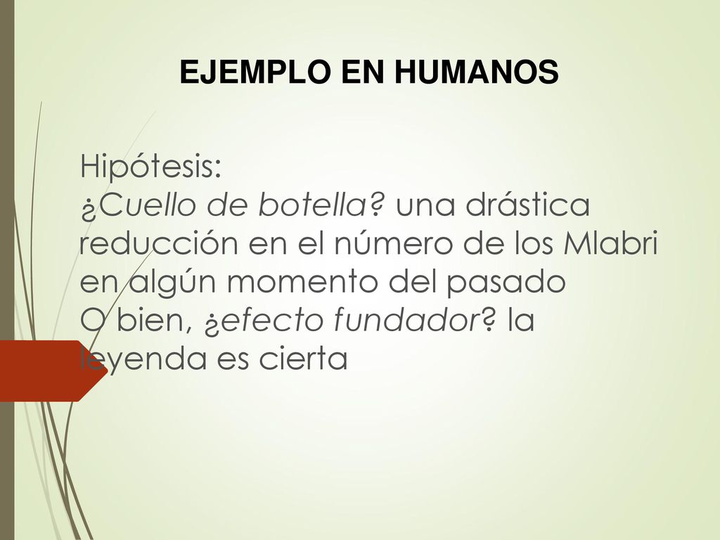 EJEMPLO EN HUMANOS Hipótesis: ¿Cuello de botella una drástica reducción en el número de los Mlabri en algún momento del pasado.
