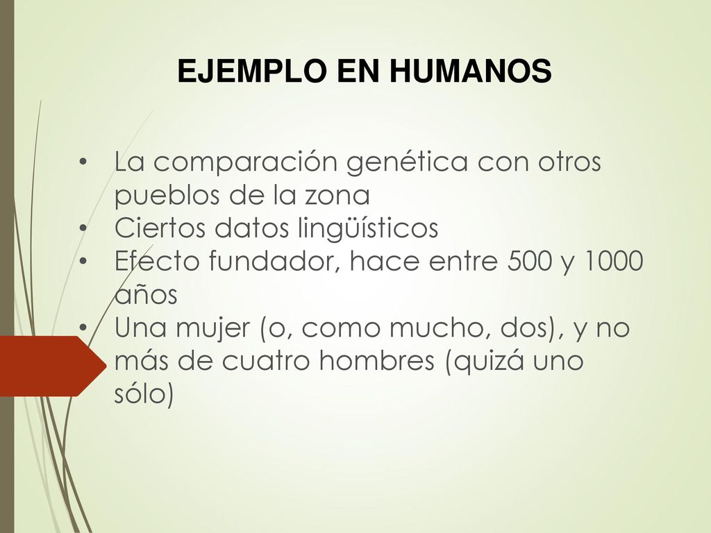 EJEMPLO EN HUMANOS La comparación genética con otros pueblos de la zona. Ciertos datos lingüísticos.