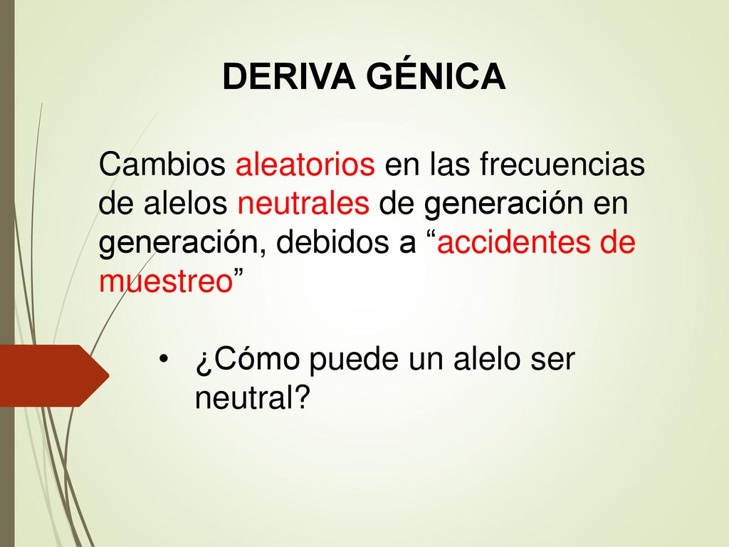 DERIVA GÉNICA Cambios aleatorios en las frecuencias de alelos neutrales de generación en generación, debidos a accidentes de muestreo