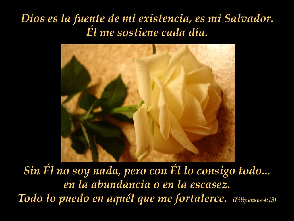Dios es la fuente de mi existencia, es mi Salvador.