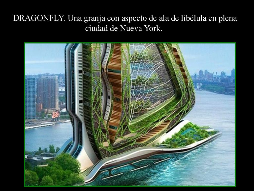 DRAGONFLY. Una granja con aspecto de ala de libélula en plena ciudad de Nueva York.