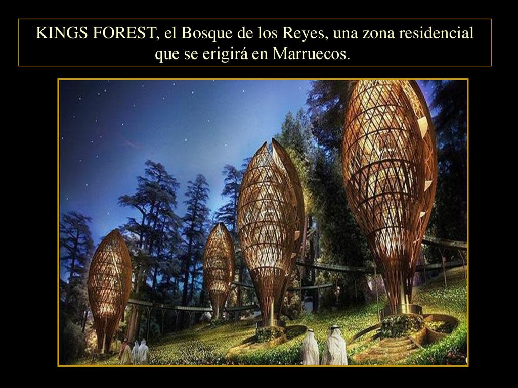 KINGS FOREST, el Bosque de los Reyes, una zona residencial que se erigirá en Marruecos.