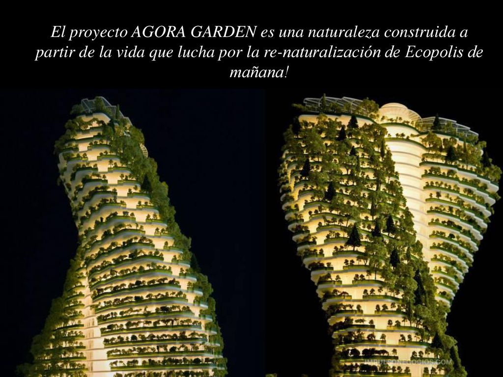 El proyecto AGORA GARDEN es una naturaleza construida a partir de la vida que lucha por la re-naturalización de Ecopolis de mañana!